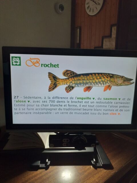 Loupe lectronique couleur pour malvoyants 2000 Nantes (44)