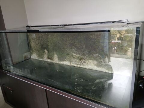 Pour cause de déménagement nous vendons notre aquarium 600l 500 92170 Vanves