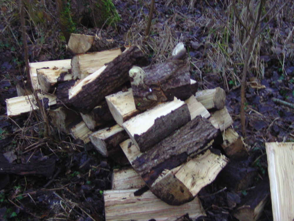 bois de chauffage sec &eacute;ssance grisar Jardin