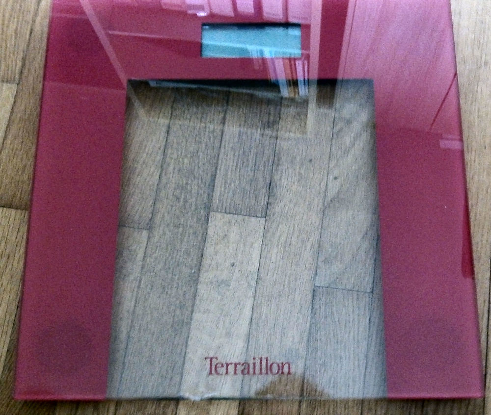 P&egrave;se personne Terraillon T74 Electroménager