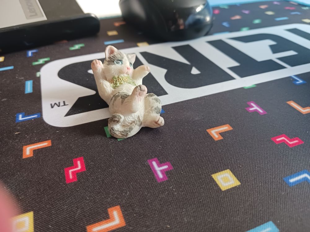 sujet chat allong&eacute; blanc 