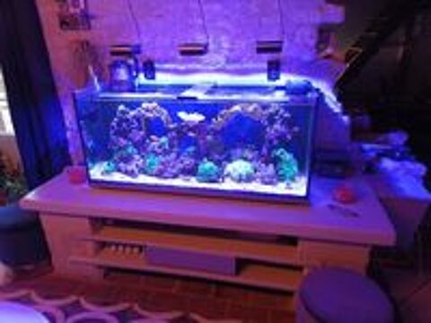   aquarium complet 300l  