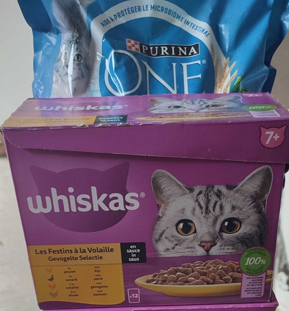 Nourriture pour chat Accessoires
