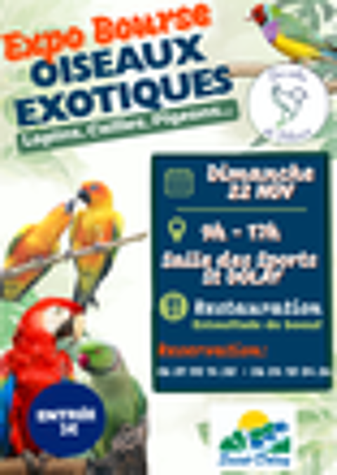 exposition / bourse d'oiseaux exotiques , lapins , pigeons , Bourse des collections