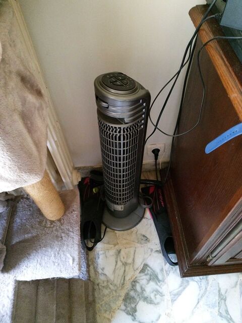 ventilateur vertical bionaire 20 Nice (06)