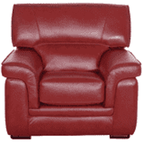 salon en cuir 120 Le Loreur (50)