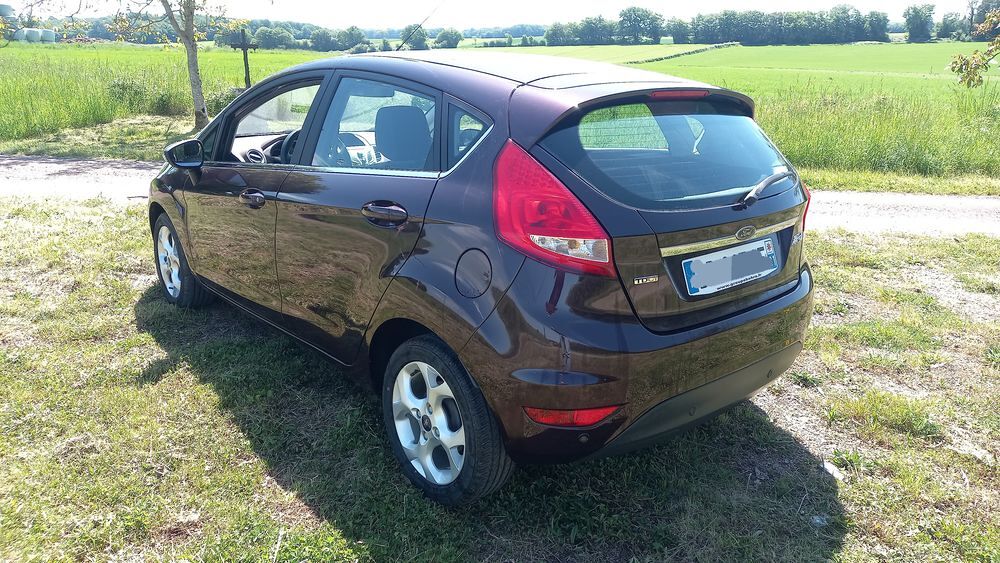 Fiesta 1.6 TDCi 95 FAP Titanium 2010 occasion 58310 Bouhy