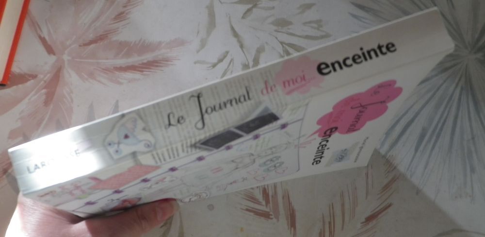LE JOURNAL DE MOI... ENCEINTE par Muriel IGHMOURACENE
Livres et BD
