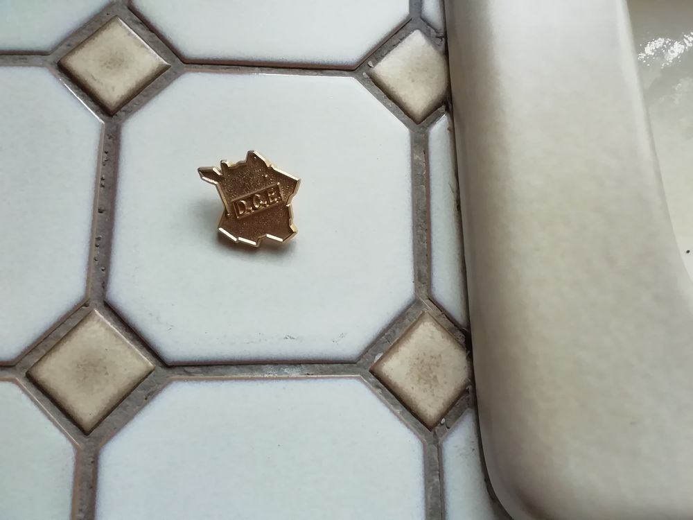 Pin's dor&eacute; 24 carats nn 