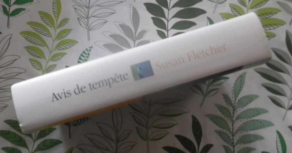 AVIS DE TEMPETE de Susan FLETCHER Ed. France Loisirs Livres et BD