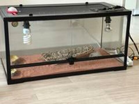   Terrarium pour pogona  