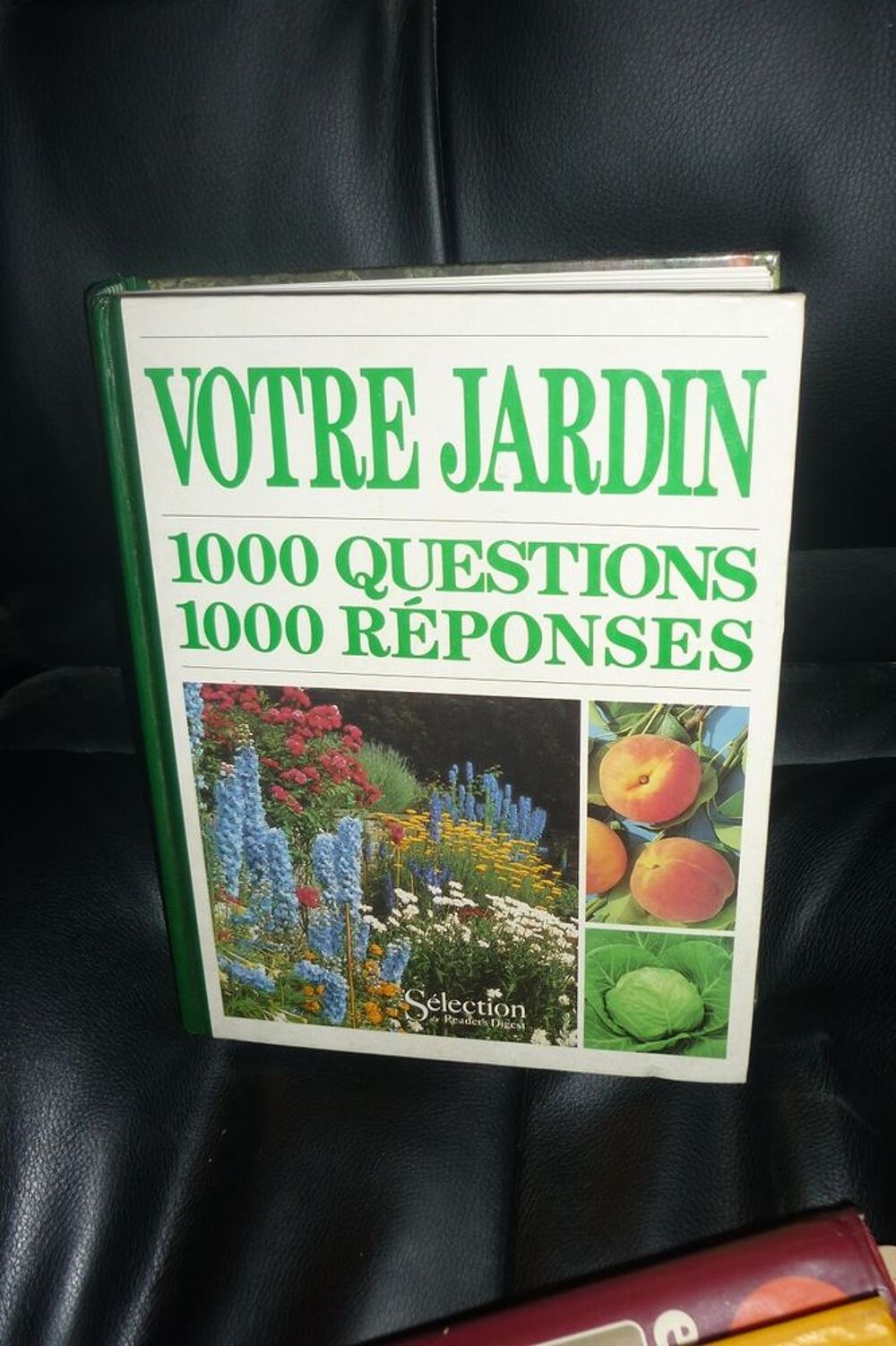 Votre jardin 1000 questions 1000 r&eacute;ponses Livres et BD