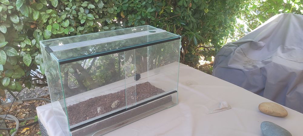   Terrarium 