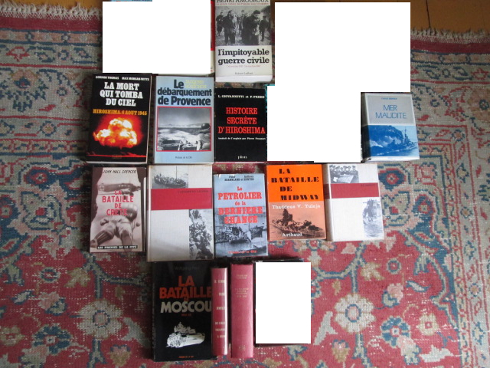 Lot de 16 livres anciens sur 2 guerres mondiales Livres et BD
