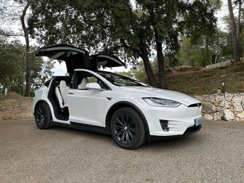 Tesla Model X MODEL X 100 kWh Dual-Motor Performance Palladium 2019 occasion Villeneuve-Loubet 06270