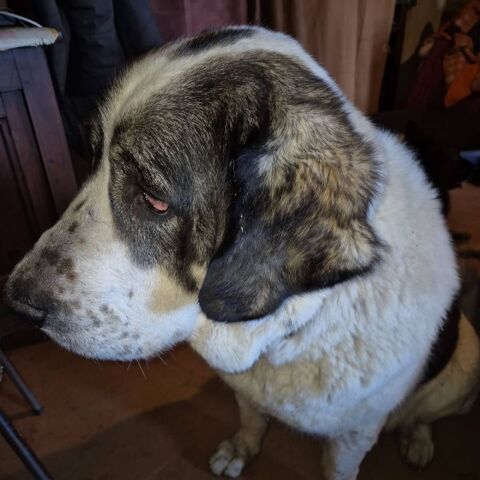 HERA 50 07370 Sarras