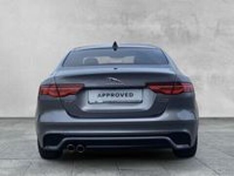 XE D180 BVA R-Dynamic SE 2019 occasion 38440 Saint-Jean-de-Bournay