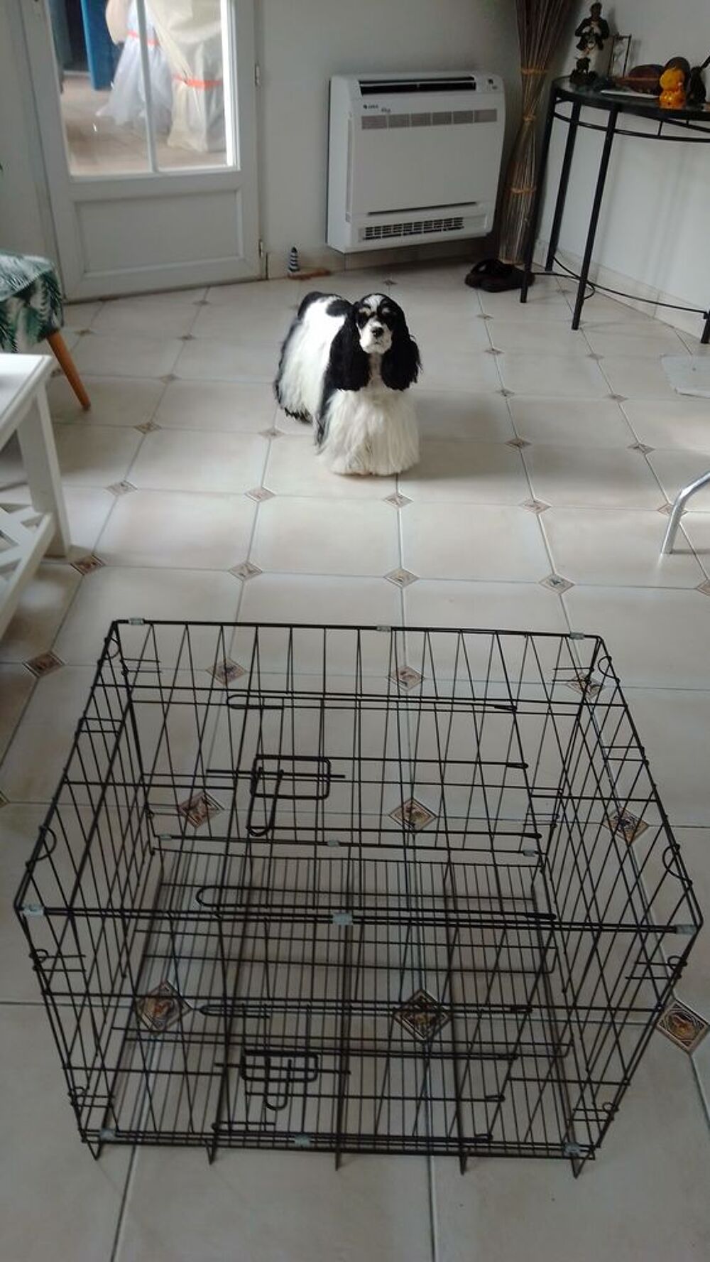   Cage pour chien 