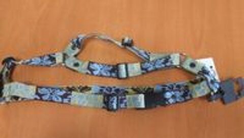   Accessoires chien & chat 