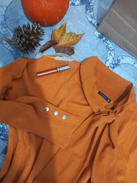 pull leger 19 Feurs (42)