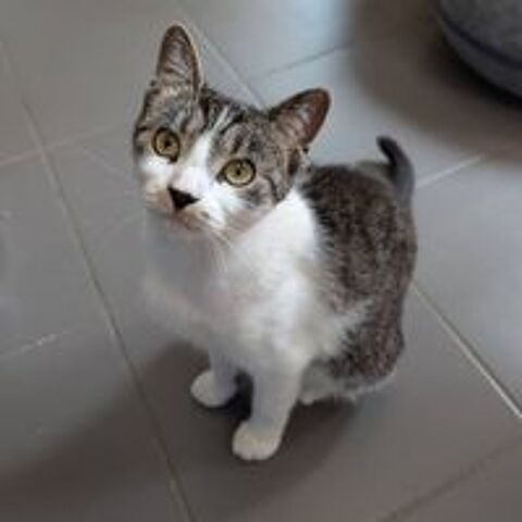   Louisa 