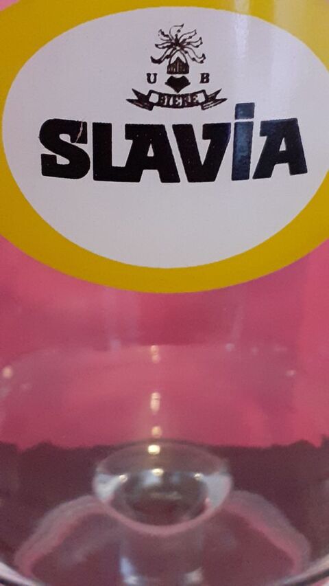 Un  verre  bire  Slavia 4 Lamotte-Beuvron (41)