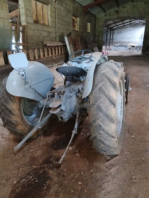 MASSEY FERGUSSON Utilitaire 1956 occasion Grand-Vabre 12320