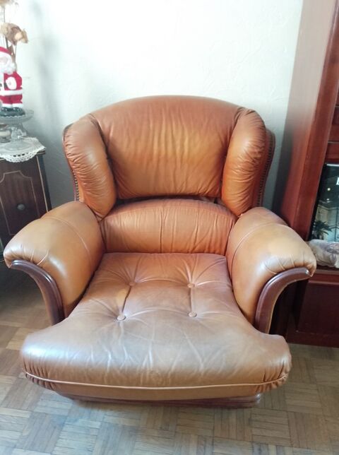 Fauteuil cuir (Photo) 30 Toulon (83)