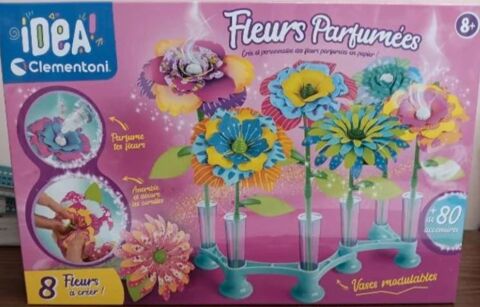 16� Fleurs parfum�es Clementoni Idea 16 Boutiers-Saint-Trojan (16)