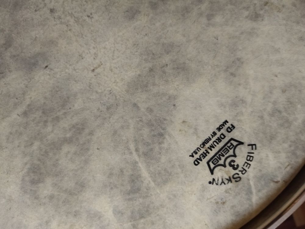 Jazzette REMO Instruments de musique