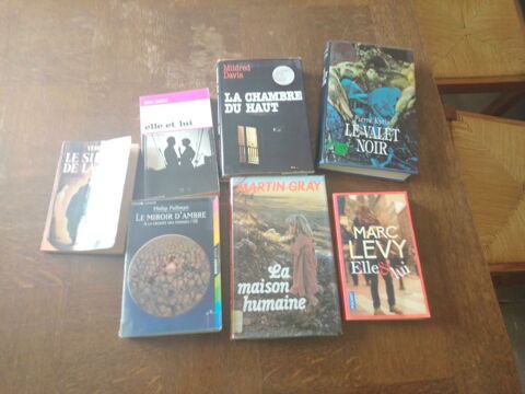 Lot de 7 livres (romans) 25 Saint-Alban-d'Ay (07)