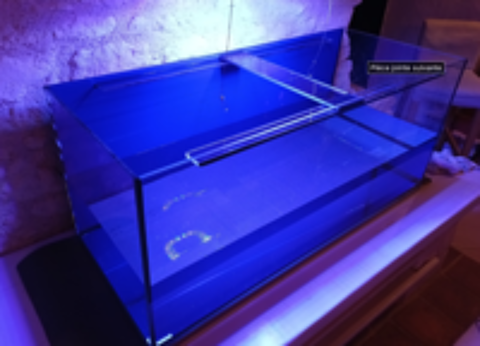   Aquarium 300l 