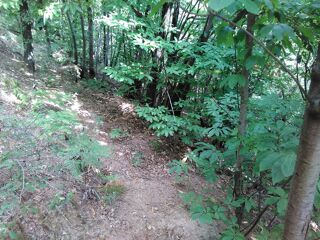  Terrain � vendre 3500 m� Al�s