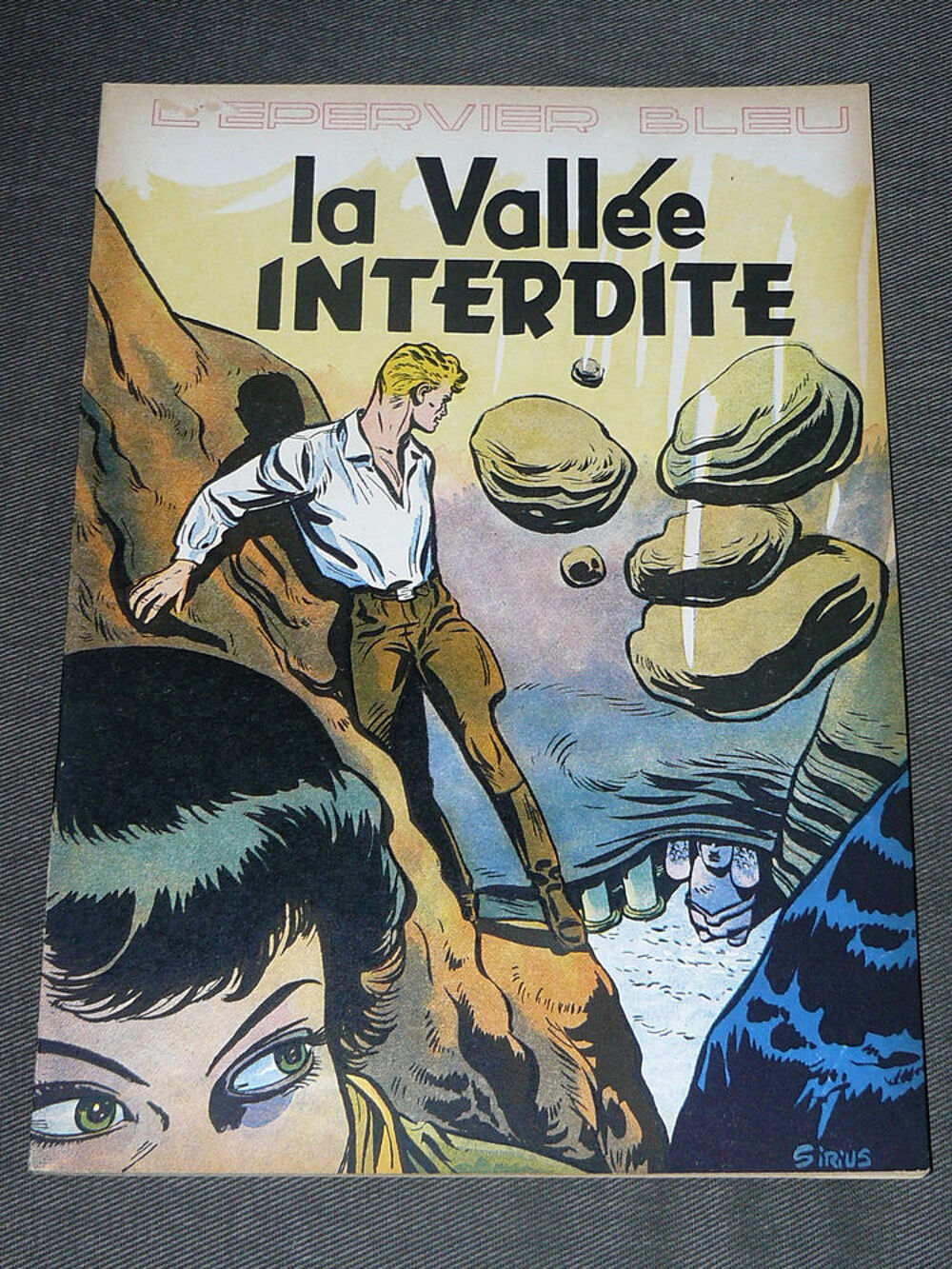 L'EPERVIER BLEU T6 La Vall&eacute;e interdite (SIRIUS) EO Livres et BD