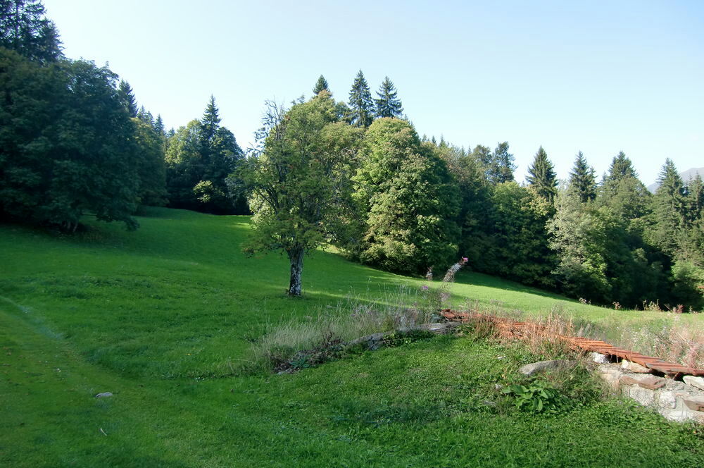 Vente Terrain -TRÈS RARE : TERRAINS A BATIR EN ALPAGE AVEC PERMIS Mont-saxonnex