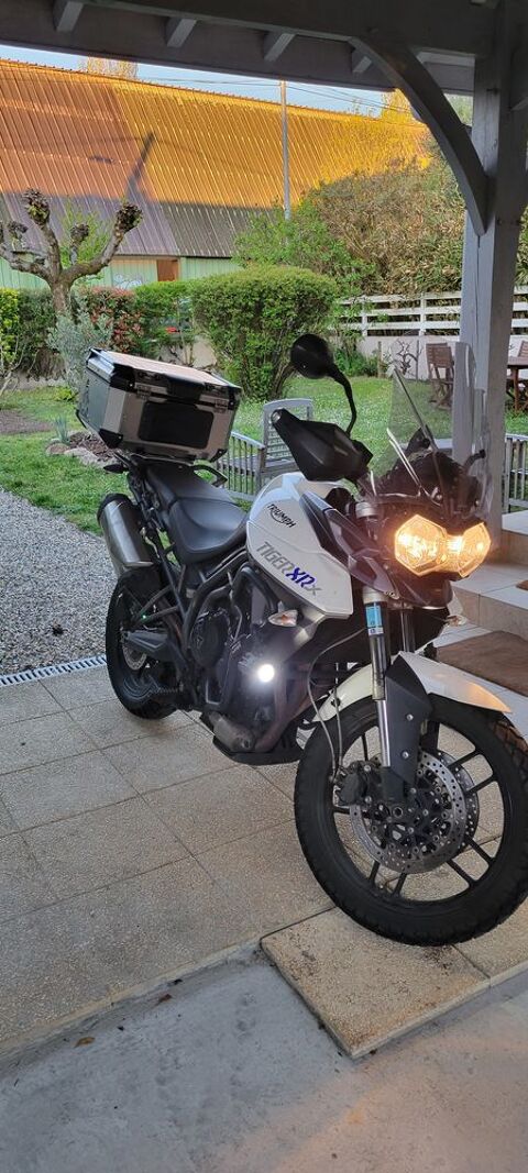 Moto TRIUMPH 2015 occasion Bordeaux 33000