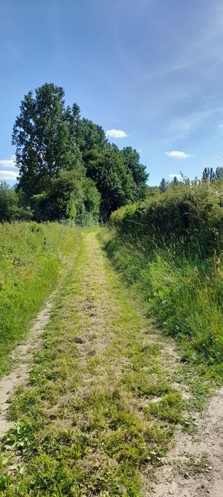 Terrain à vendre 5600 m²