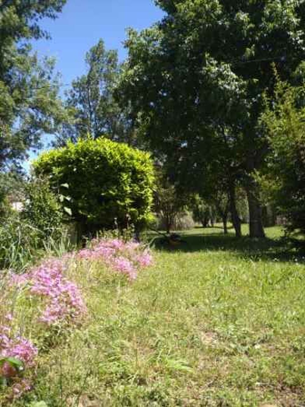 Vente Maison MAISON  AVEC  UN  GRAND  TERRAIN  DE  1850 m² Saint-bauzille-de-putois