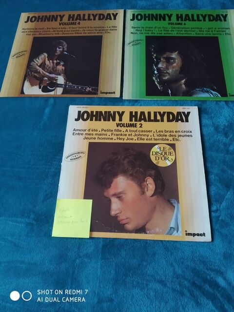 3 vinyles johnny hallyday 15 Auby (59)