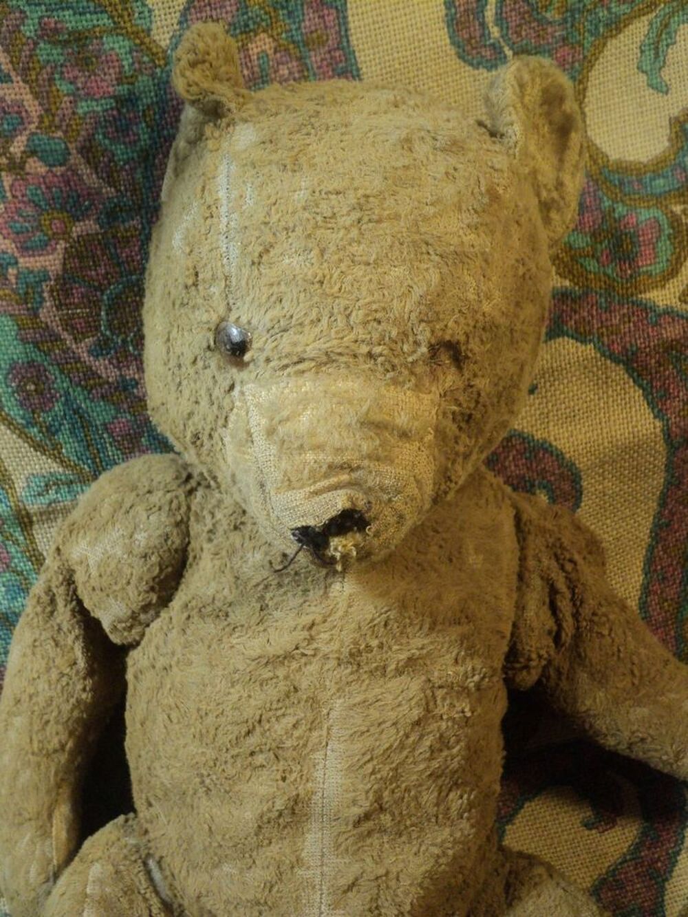 Ours ancien à vendre 2025