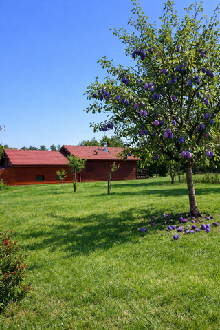  Chalet � vendre 3 pi�ces 21500 m�