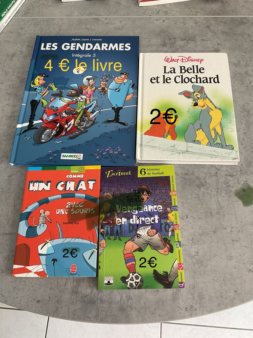 Lot de Livres Vari&eacute;s - Fiction et Non-Fiction Livres et BD