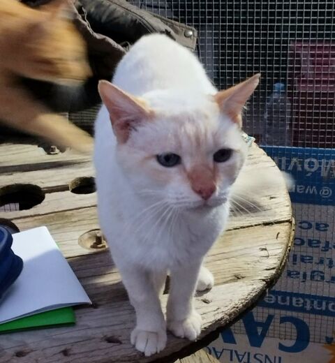 LUMIÈRE 220 27620 Gasny