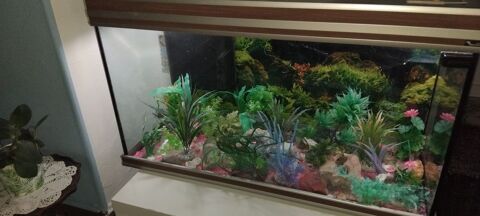 Aquarium 200 Vesoul (70)