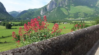  Appartement � louer 5 pi�ces 100 m� Accous