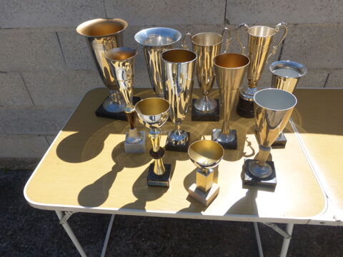 COUPES 43 Montbartier (82)