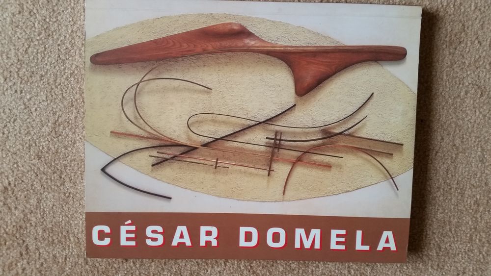 Cesar domela Livres et BD