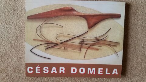 Cesar domela 6 Paris 13 (75)