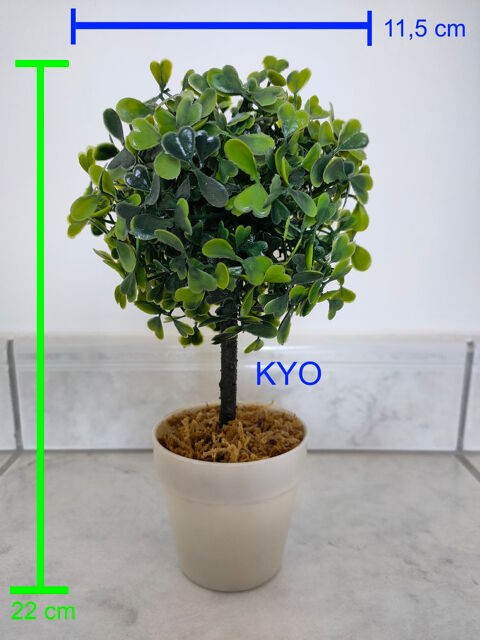 Petit Arbre buis rond, Hauteur 22cm Diam�tre 11,5cm bonsa� 25 Foncine-le-Haut (39)