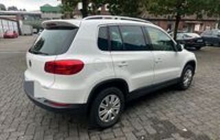 Tiguan 2014 occasion 20260 Calvi